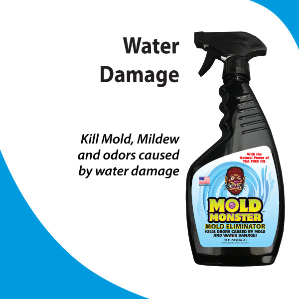 Water Damage Treatment